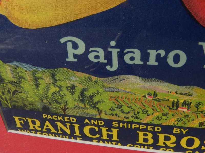 Framed 1920's fruit crate label &quot;Lake View Brand&quot; Pajaro Valley apples