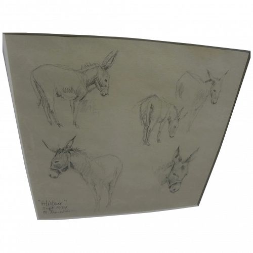 MARYSIA DONALDSON (-2018) beautiful study drawings of donkey "Alistair" by noted Scottish artist