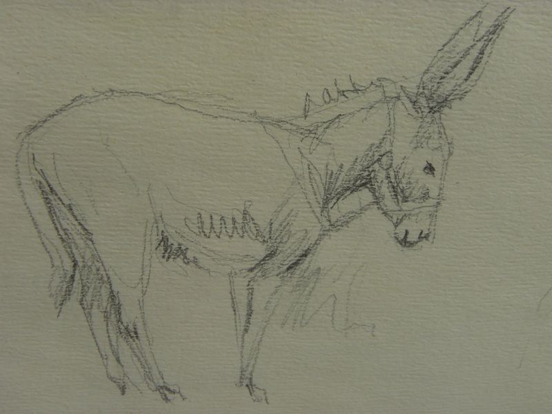 MARYSIA DONALDSON (-2018) beautiful study drawings of donkey &quot;Alistair&quot; by noted Scottish artist