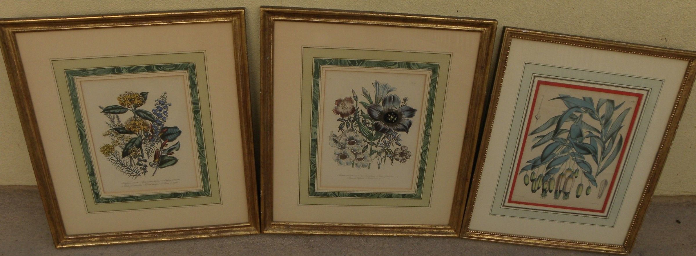 Antique English botanical prints in quality frames (three)