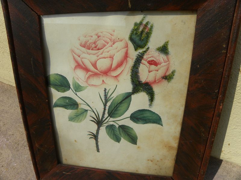 American antique folk art botanical drawing flowers circa 1840