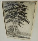 HARRIET GENE ROUDEBUSH 1908-1998 Carmel cypress trees etching