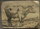 MARCUS DE BIE (c.1639-c.1688) etching of cow by Dutch Old Master