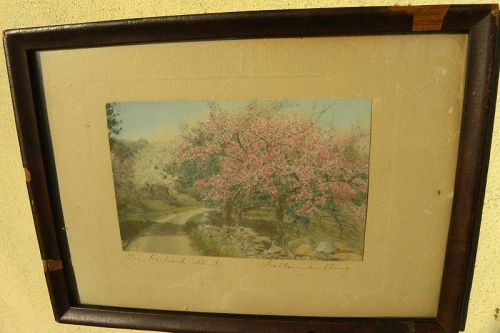 WALLACE NUTTING (1861-1941) hand tinted photograph Berkshires orchard