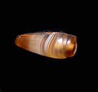 Ancient Pyu Conch Shell Agate Bead - 100AD