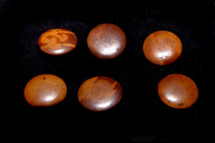 6 Chinese Burlwood Buttons - Qing Dynasty 19th Century