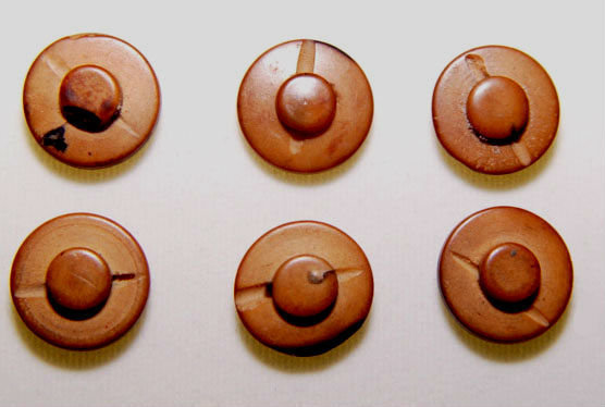 6 Chinese Burlwood Buttons - Qing Dynasty 19th Century