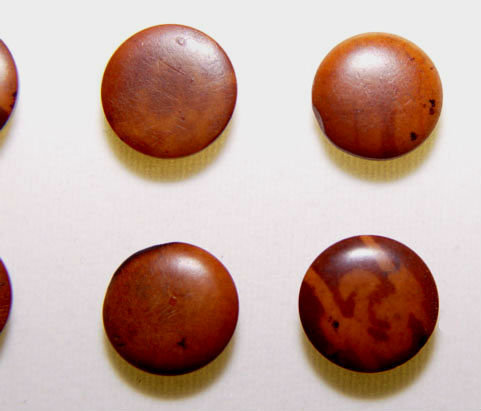6 Chinese Burlwood Buttons - Qing Dynasty 19th Century