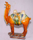 Chinese Tang  Sansai Glazed Camel