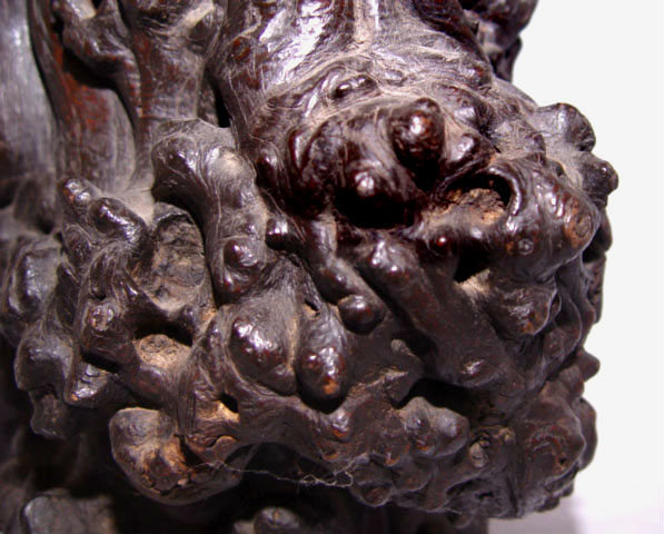 Chinese Natural Burl Wood Brushpot Holder - Ming 17 Century