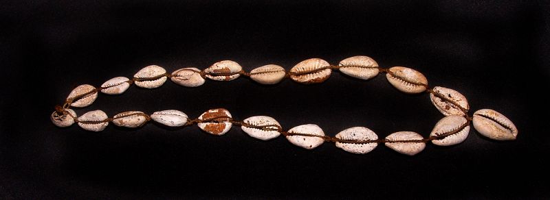 Chinese Neolithic Longshan Cowrie Shell Money -2,000 BC