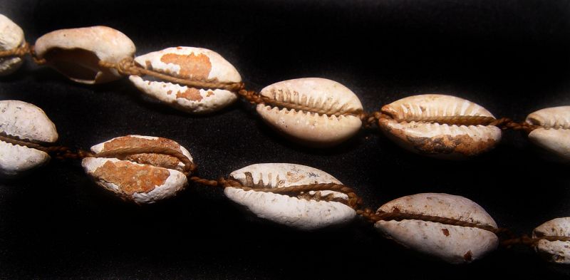 Chinese Neolithic Longshan Cowrie Shell Money -2,000 BC