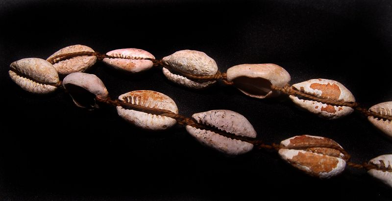 Chinese Neolithic Longshan Cowrie Shell Money -2,000 BC