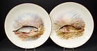 6 Antique Bodley Fish Plates, Artist Signed, J. Birbeck