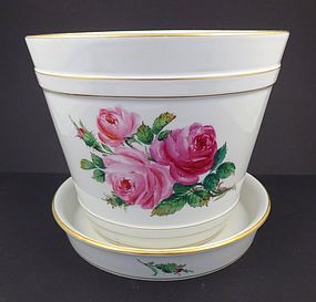 Antique Meissen Moss Rose Flower Pot & Under Plate