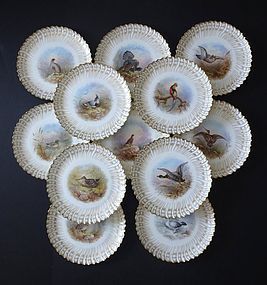 12 Antique Cauldon Bird Plates, Signed J. Birbeck