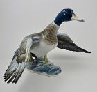 Impressive Rosenthal Porcelain Flying Mallard Duck