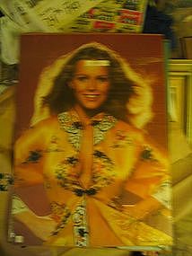 Vintage Cheryl Ladd Poster