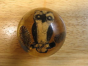 Acrylic Owl Paperweight