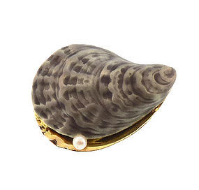 Edwardian 14K Gold, Enamel & Pearl Oyster Shell Brooch