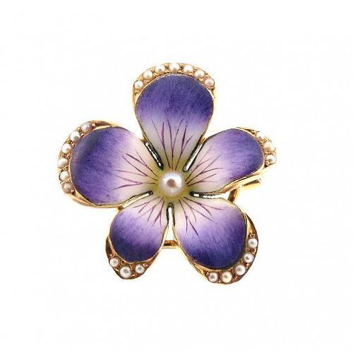 Art Nouveau Crane & Theurer 14K Gold Enamel Seed Pearl Violet Brooch