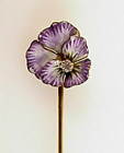 Victorian Enameled 14K Gold Pansy Stick Pin