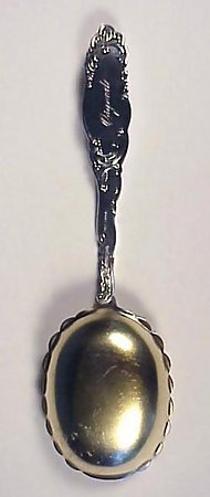 Towle PRINCESS Sterling Silver Berry Spoon