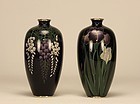 Japanese Pair Cloisonne Vase w Iris Wisteria Flowers