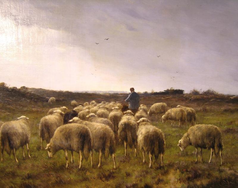 Flock of Sheep: Cornelius Westerbeek