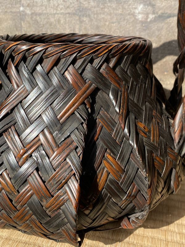 都築華子Tuzuki Hanako1970~/Spring Sunshine 都築華子Tuzuki Hanako1970~/Spring Sunshine