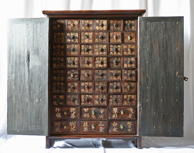 Rare, Museum Quality 19th Century Medicine Chest with Paulownia Doors