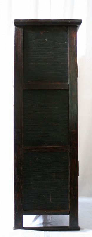 Rare, Museum Quality 19th Century Medicine Chest with Paulownia Doors