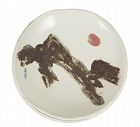 Large Painted Mountain Porcelain Plate of Unique Form by Shin Sang Ho