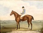 Jockey & Race Horse by J.WELLS, o/c Known Equine Painter