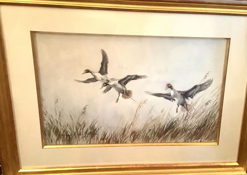 American Artist Frank  Vining Smith 1879-1967 “Water Fowl Study”