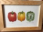“Sweet Peppers” by American Artist Karyn Francis Gray watercolor 10x14