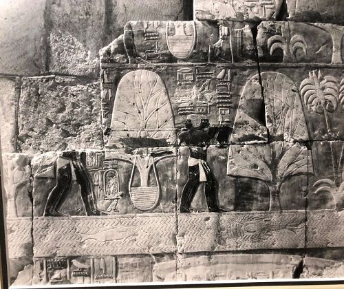 Antique Photograph of Egyptian Tomb Cairo 1920s measuring 9x11”