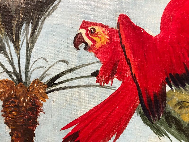 American Artist TETI, “Tropical Study Red Parrot” Oil 16” x 20”