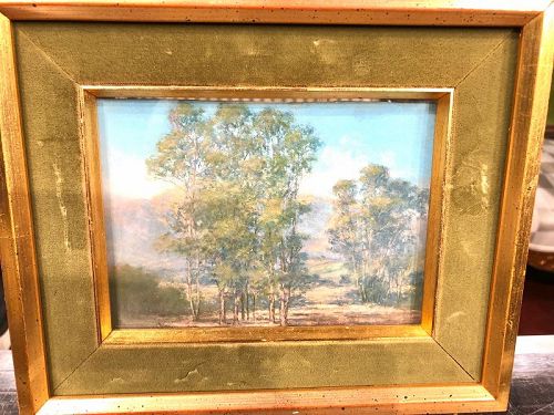 William Louis Otte American 1871-1957 Santa Barbara Trees Pastel