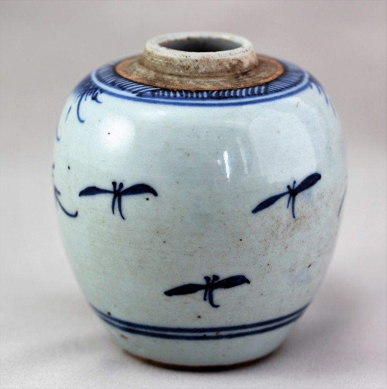 Chinese Blue &amp; White Porcelain Tea Jar/Caddy