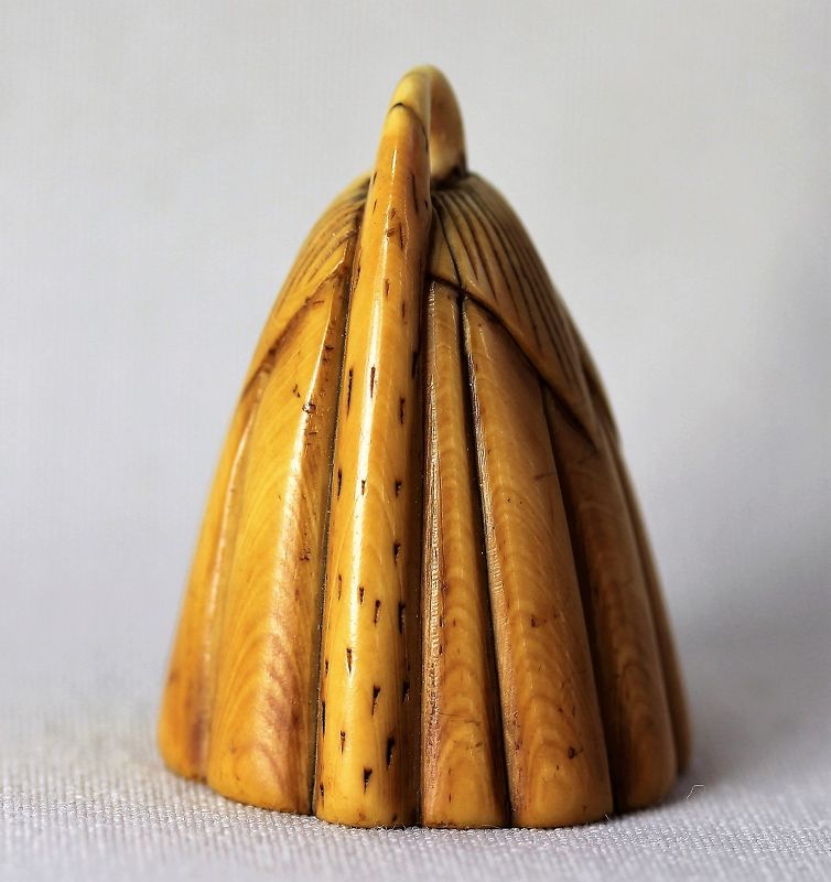 Chinese Ivory Lotus Seed shape Toggle