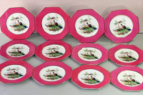 12 English Wedgwood Porcelain Pheasant Game Plates