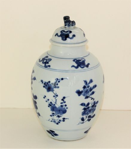 Chinese Export Blue & White Porcelain Vase, Foo Dog knob, Kangxi mark