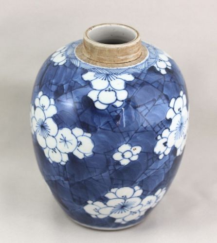Chinese Blue & White Hawthorn ware Tea Jar, Kangxi