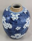 Chinese Blue & White Hawthorn ware Tea Jar, Kangxi