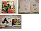 Decorative Napkin Folding Book by Pamela Westland