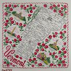 Vintage State Souvenir Hanky for Vermont