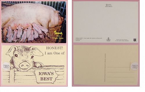 Vintage Iowa Pork State Postcards Lot of Two