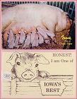 Vintage Iowa Pork State Postcards Lot of Two