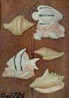 Vintage Miller Studios Chalk Fish and Sea Shells Dated 1991